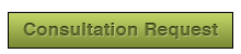 App Development Consultation